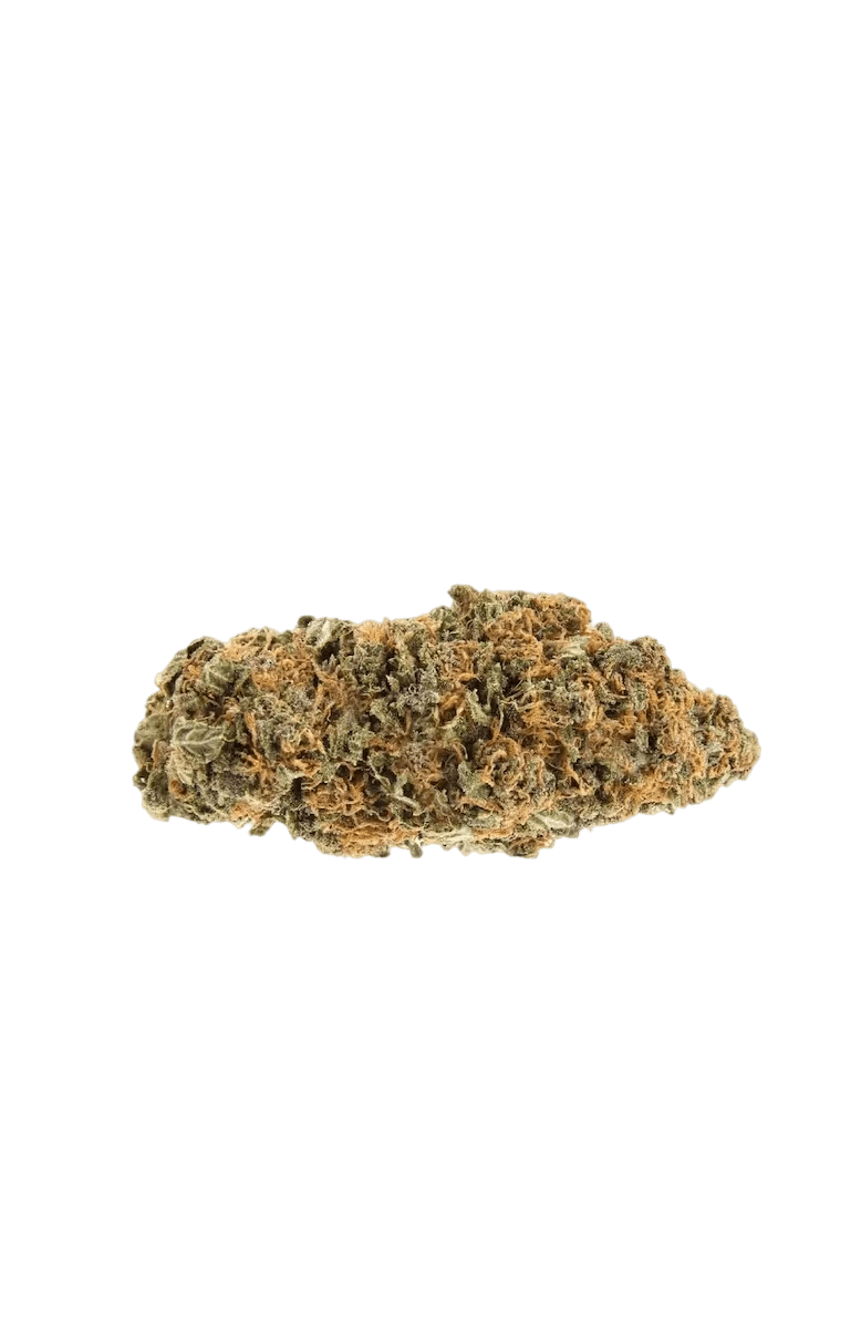 Sour Diesel - CANNALIZED