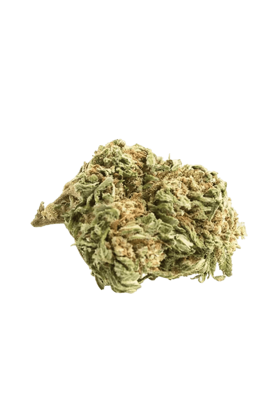 Bubblegum - CANNALIZED