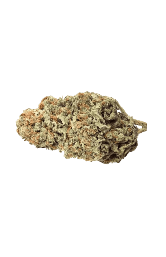 Critical Kush - CANNALIZED