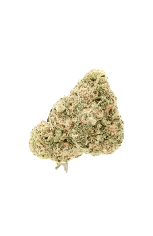 Mimosa - CANNALIZED