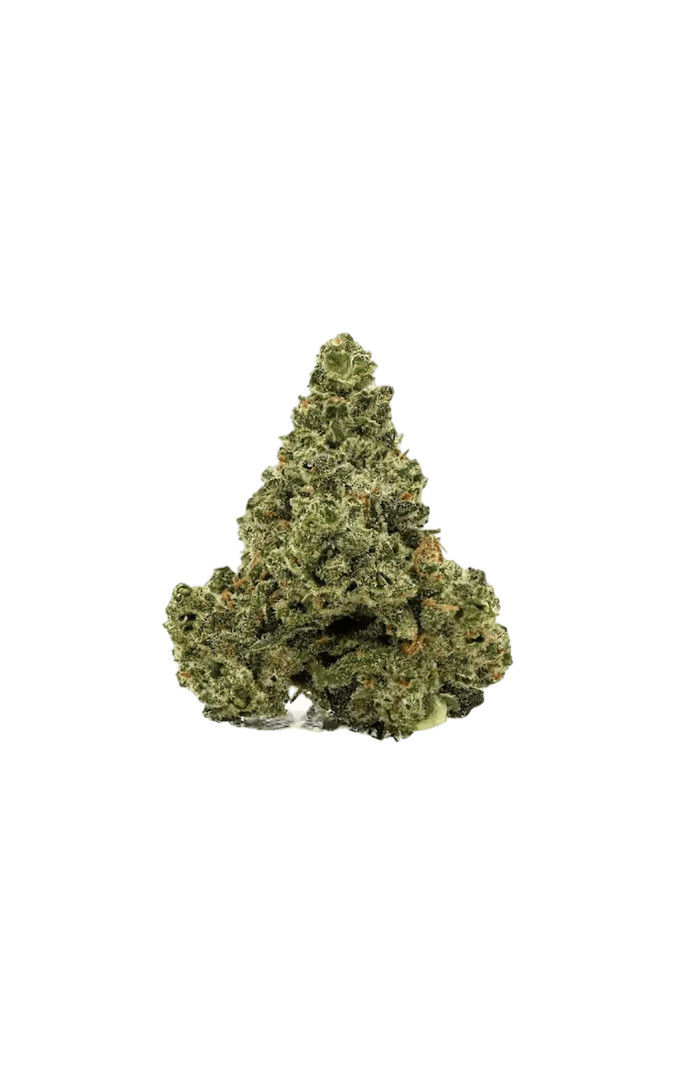 Super Lemon Haze - CANNALIZED
