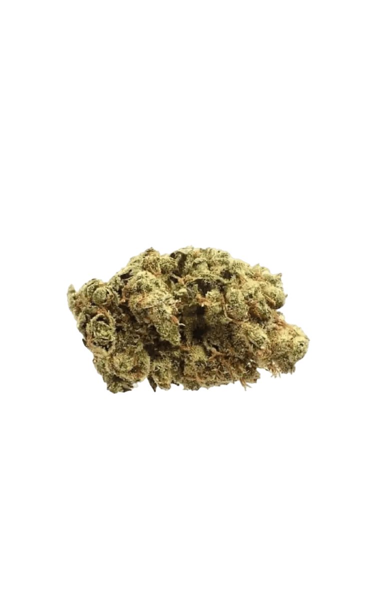 Super Silver Haze - CANNALIZED