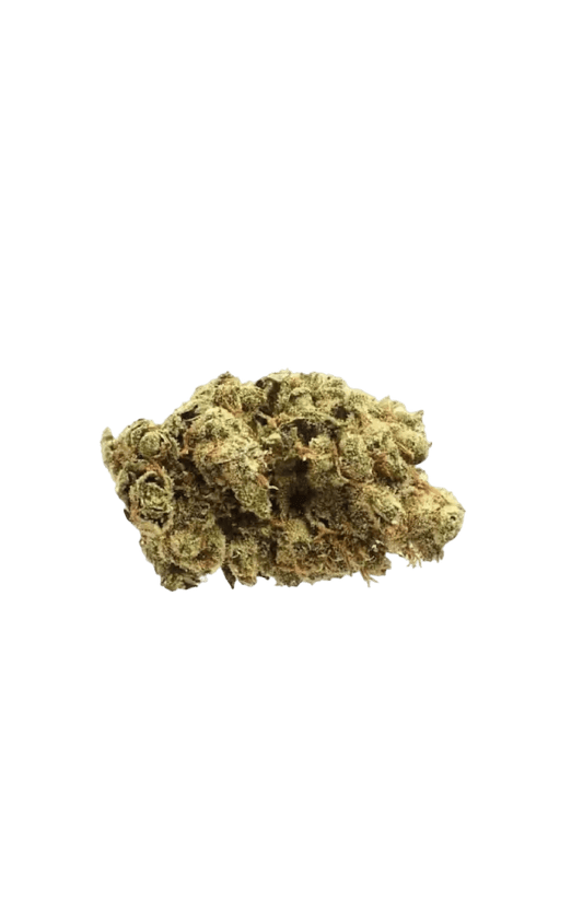 Super Silver Haze - CANNALIZED
